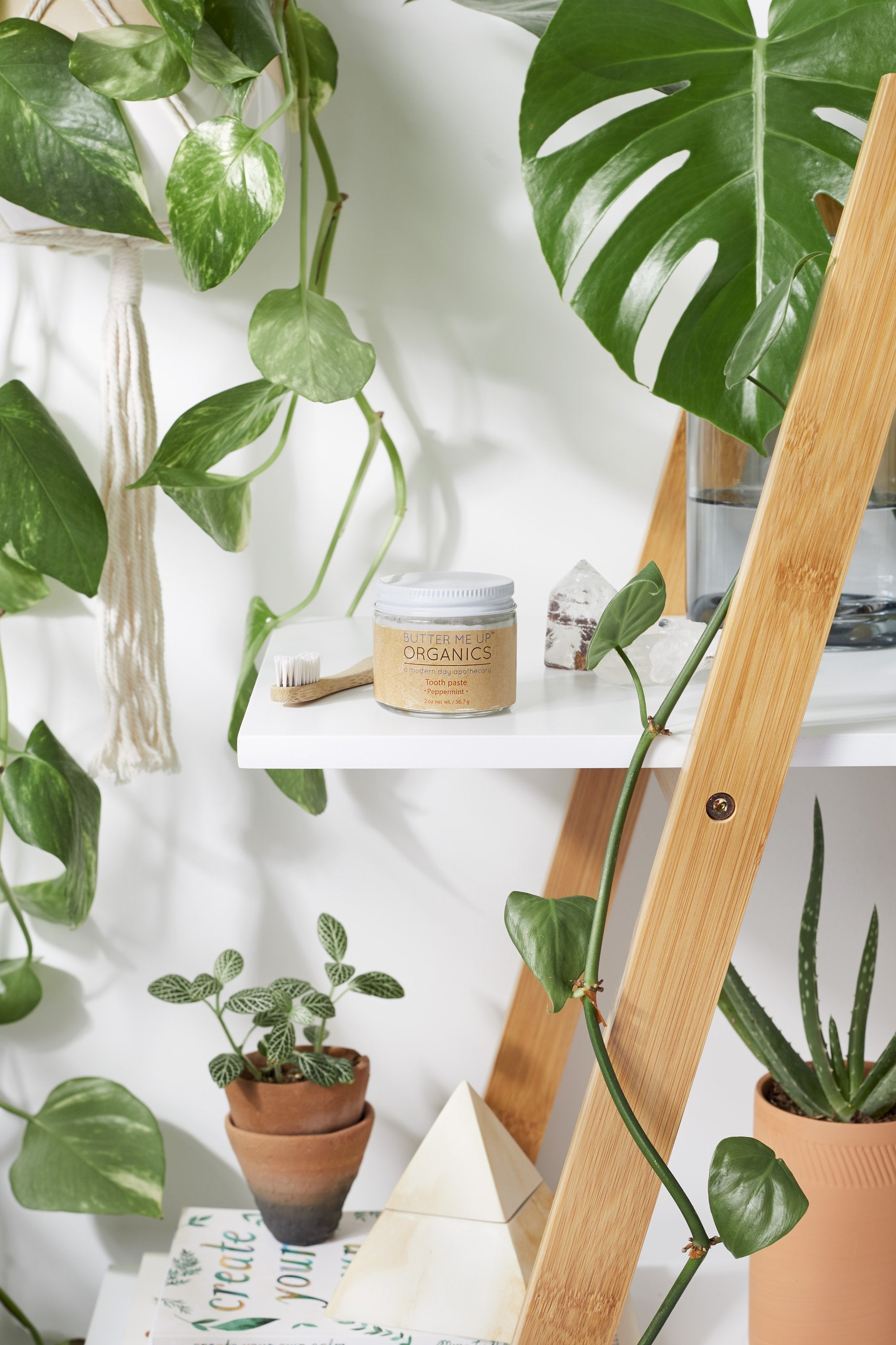 zoomed out shot of closed organic white toothpaste in glass jar with toothbrush and leaves in white backdrop