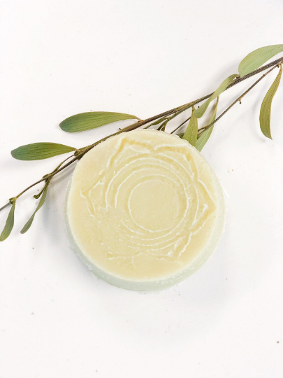 birds eye view shot of Zero Waste Organic Shampoo Bar that has been opened in white background